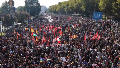 Gaza protest Italy, Italy general strike, Gaza humanitarian support