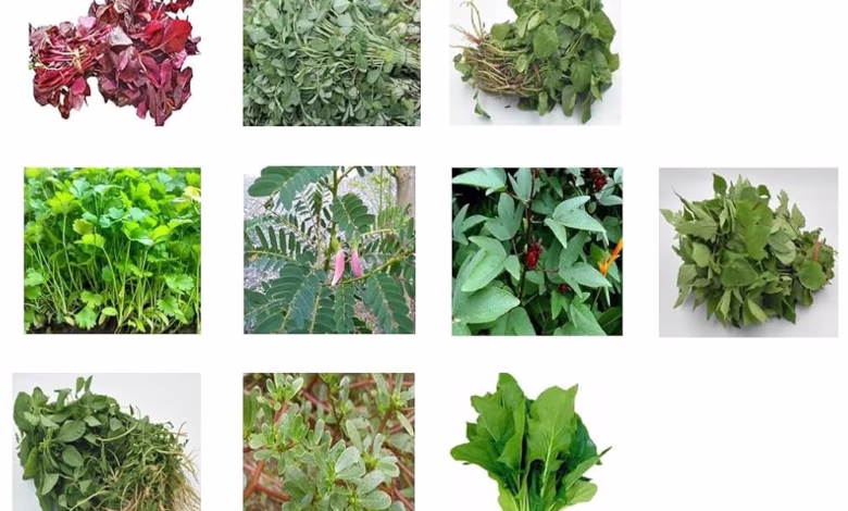 Green Vegetables – Nature’s Treasure for Health, Beauty & Strength