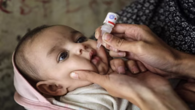 Telangana Pulse Polio Drive, Hyderabad Polio Vaccination, Telangana Health Department