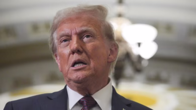 Trump envoy Moscow, Ukraine peace plan, Putin meeting, Zelensky talks, US-Russia negotiations