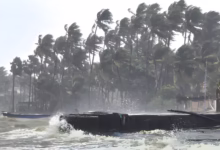 cyclone ditwah india alert, tamil nadu red alert, puducherry red alert, sri lanka cyclone