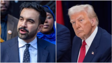 Zohran Mamdani New York Mayor, Zohran Mamdani Victory Speech