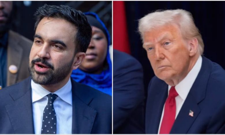 Zohran Mamdani New York Mayor, Zohran Mamdani Victory Speech