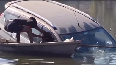 Pilibhit car accident, Uttar Pradesh rescue, car falls into pond, driver saved by locals