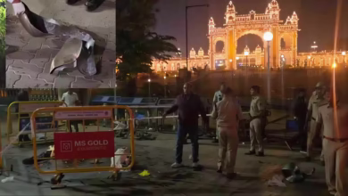 Mysuru blast, helium gas cylinder explosion, Mysuru Palace accident, balloon seller killed