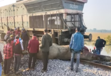 Assam train accident, Rajdhani Express derailment, elephants killed Assam