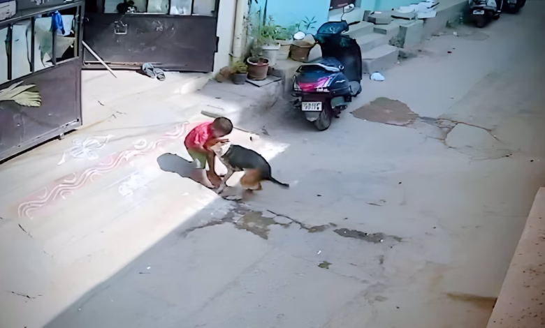 a 2 year old child in hyderabad’s yousufguda narrowly escaped a stray dog attack
