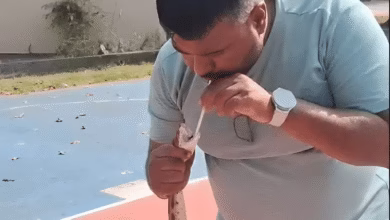 a viral incident from valsad where a youth bravely saved a deadly russell’s viper snake by performing CPR