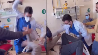 MMA Match In Shimla Hospital? When Doctor, Patient Fought Over Tu