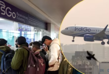 indigo flights restored, indigo refund update, indigo 95 percent network,