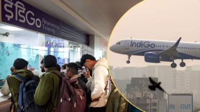 indigo flights restored, indigo refund update, indigo 95 percent network,
