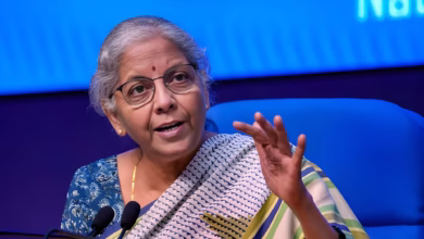 lic investments, finance ministry, nirmala sitharaman, adani group, investment sops