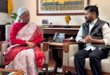 Telangana CM meets FM Sitharaman, seeks support for residential schools programme