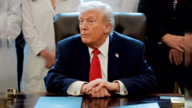 Trump green card lottery suspension, Diversity Visa Program