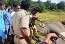 Karnataka man-animal conflict, Integrated Command Control Centre