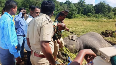 Karnataka man-animal conflict, Integrated Command Control Centre