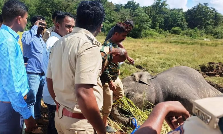 Karnataka man-animal conflict, Integrated Command Control Centre