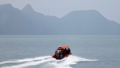 Andaman Sea tragedy, 250 people feared dead after overcrowded boat capsizes