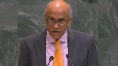 India UN Strait of Hormuz, freedom of navigation crisis