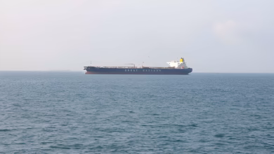 First LNG tanker crosses Hormuz chokepoint