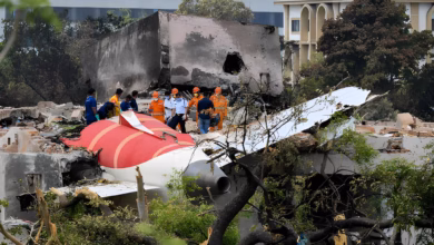 AI171 crash victims, Air India plane crash 2025, black box data demand