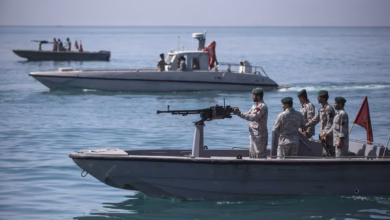 Iran introduces new shipping control system in Strait of Hormuz