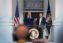 Trump Putin Call, Trump Zelenskyy Phone Call, Russia Ukraine War