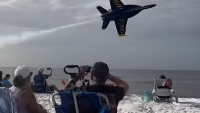 US Navy Jets Low Flyby Sparks Beach Chaos
