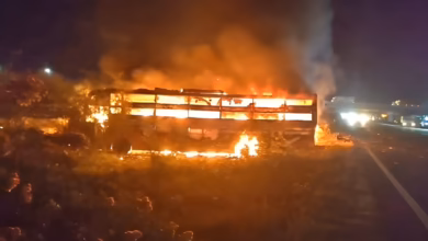 Rajasthan Bus Fire 8 Killed, 29 Injured