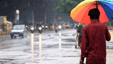 Hyderabad Weather, Yellow Alert Telangana