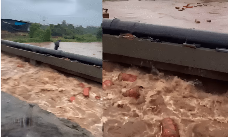 Maharashtra Flood, HPCL Bottling Plant 3000 LPG Cylinders Washed Away