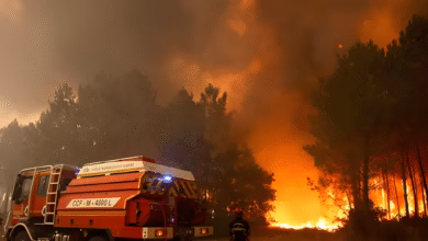 France-Spain border fire,  Gironde wildfire