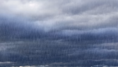Evening rains drench multiple parts of Hyderabad