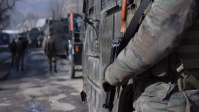 Gunshots Heard During Search Operation in J&K Shopian