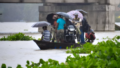 Assam Rain, Monsoon Flood India, Assam Rescue Operation