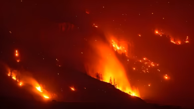 British Columbia wildfires, Bald Range Fire