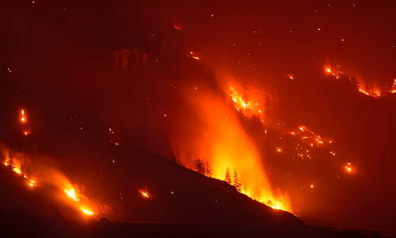British Columbia wildfires, Bald Range Fire