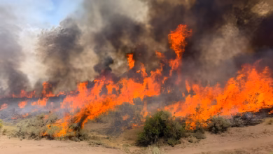 helicopter crash, Utah wildfire, Oregon wildfire