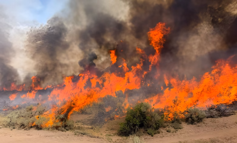 helicopter crash, Utah wildfire, Oregon wildfire