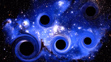 There May Be 170 Million Black Holes Lurking in The Milky Way