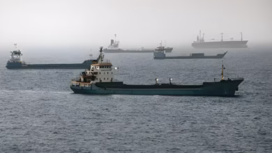 Iran Oman Deal, Strait of Hormuz, Donald Trump