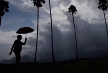 Kerala rain, Wayanad, Kerala red alert, Kerala floods