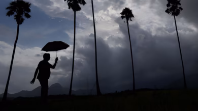 Kerala rain, Wayanad, Kerala red alert, Kerala floods