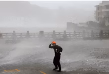 Typhoon 'Dolphin' is threatening China