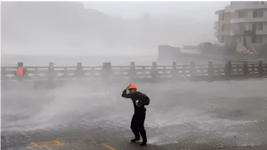 Typhoon 'Dolphin' is threatening China