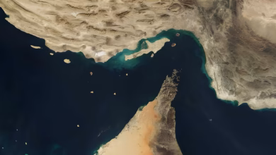 US strikes Iran's Larak Island, IRGC Navy Ali Fayazi