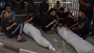 Israel Gaza conflict, Palestinian deaths, Gaza casualties