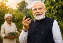 Narendra Modi avocado Kadapa avocado farmer