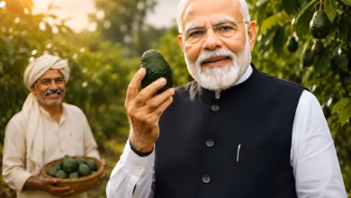 Narendra Modi avocado Kadapa avocado farmer