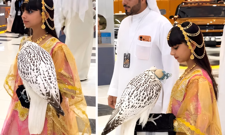 Abu Dhabi falcon auction, rare white falcon, Shaikha Al Mansoori